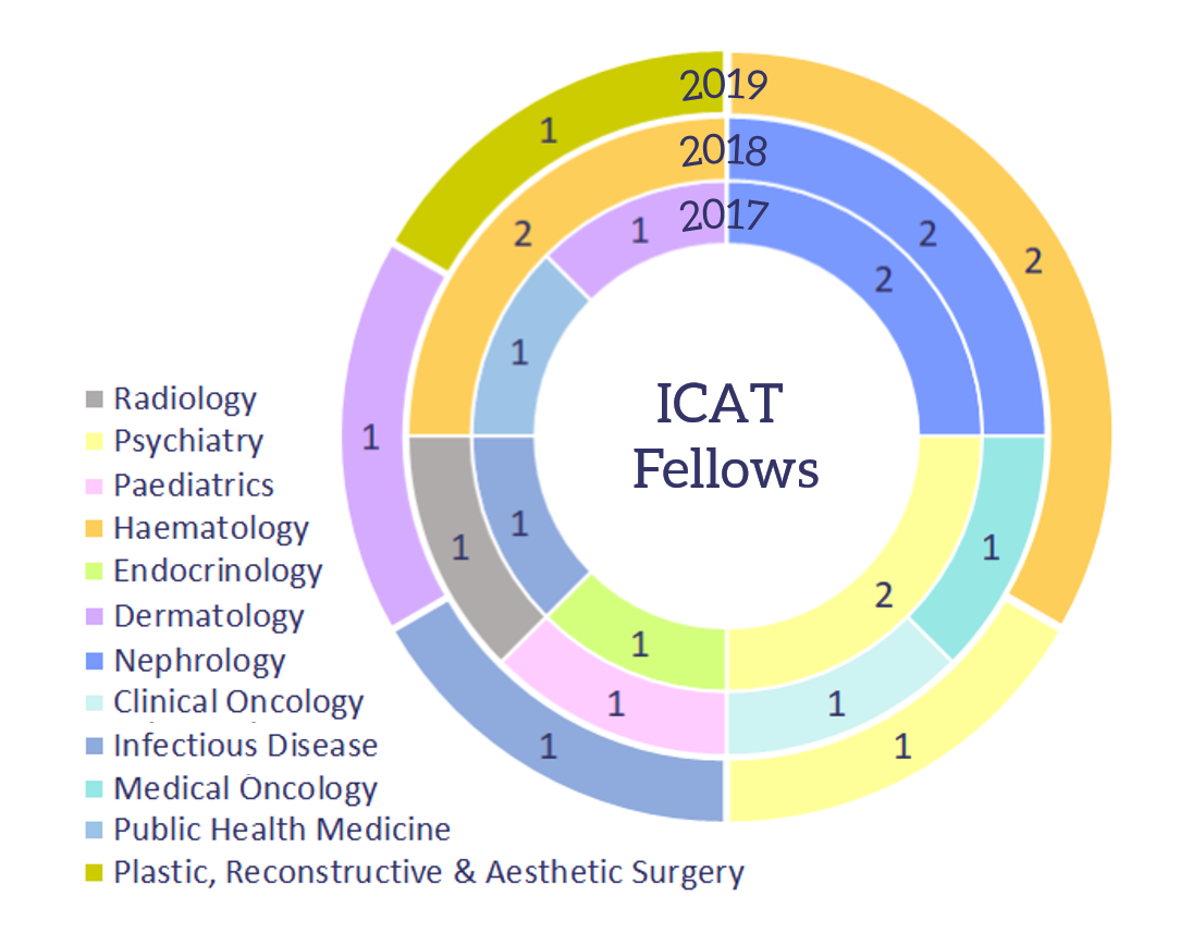 ICAT Fellows 2017 2018 2019 white background